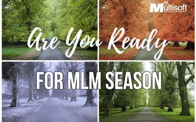 MLM Season